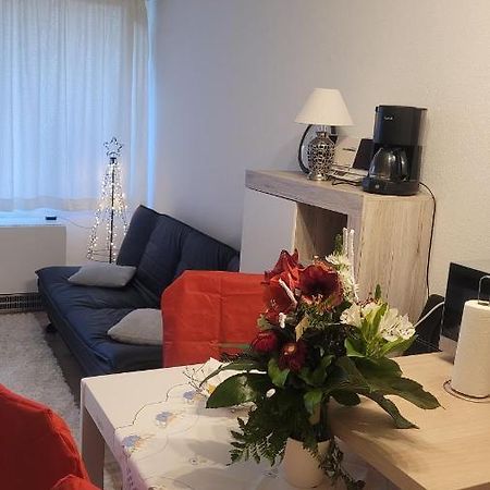 Ryan Apartament Mit Netflix Санкт-Энгльмар Экстерьер фото