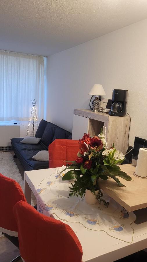 Ryan Apartament Mit Netflix Санкт-Энгльмар Экстерьер фото
